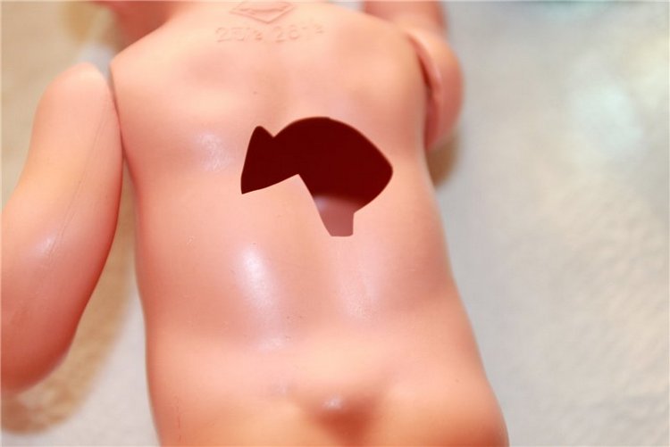 Вылеченная Черепашка - первая винтажка, Schildkröt, 1950-е, целлулоид, Германия (фото 2)