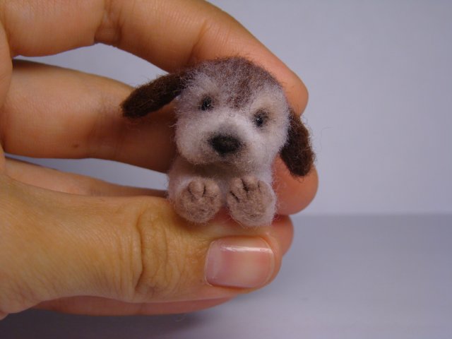 Щенок неизвестной породы. Авторская игрушка валянием из шерсти Ольги Чернухо (фото 8)