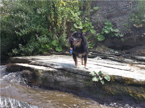 Однажды летним жарким днем.... Как Ева к конкурсу готовилась