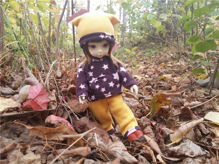 Осенний олененок — Куклы Fairyland (ФэйриЛэнд): BJD (БЖД) (фото 5)