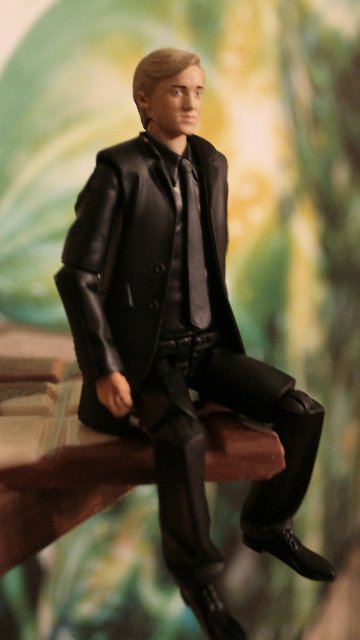 Драко Малфой (по следам "Гарри Поттера) (фото 5)