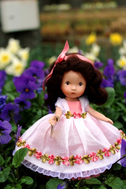 Цветочные феи - Ненси Энн, Диана Эффнер