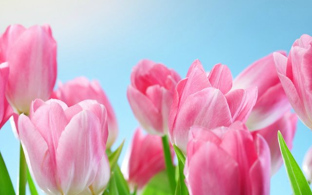 Божья коровка по имени Эмилия. Кукла реборн Шутовой Анны (фото 4)