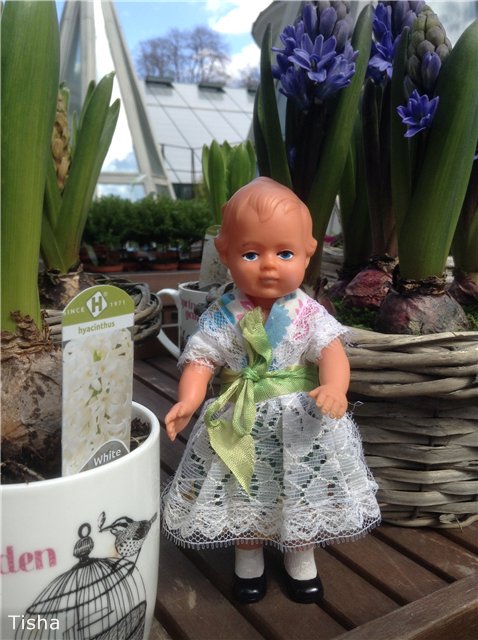 Маленькие садовники или весна в Аптекарском огороде (фото 9)