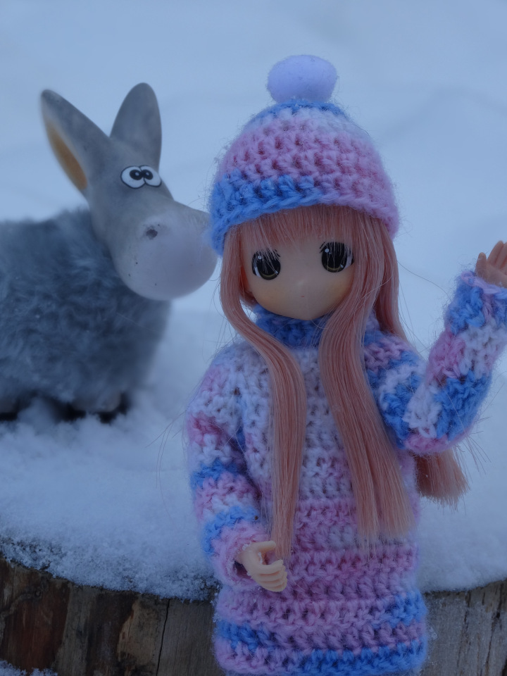 Банни и её ослик — Аниме куклы (MJD/Винил): Imomo (фото 8)