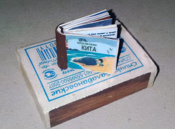 Библиотека на спичечном коробке (фото 3)