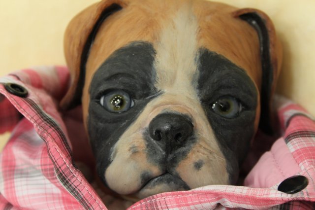 Московская международная выставка-ярмарка кукол и медведей Teddy «Moscow Fair 2013»: Наши Мастера часть 2 | Бэйбики Московская международная выставка-ярмарка кукол и медведей Teddy «Moscow Fair 2013»: Наши Мастера часть 2