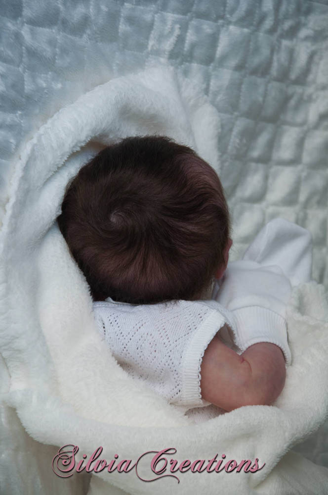 Новый молд Will от Натали Шолль