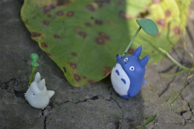 Мой сосед ТОТОРО: пополнение миниколлекций от студии Ghibli (фото 6)