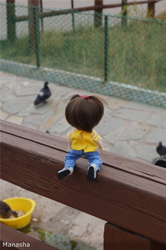 Как Майка в зоопарк ходила. pukiFee Ante Fairyland | Бэйбики Как Майка в зоопарк ходила. pukiFee Ante Fairyland