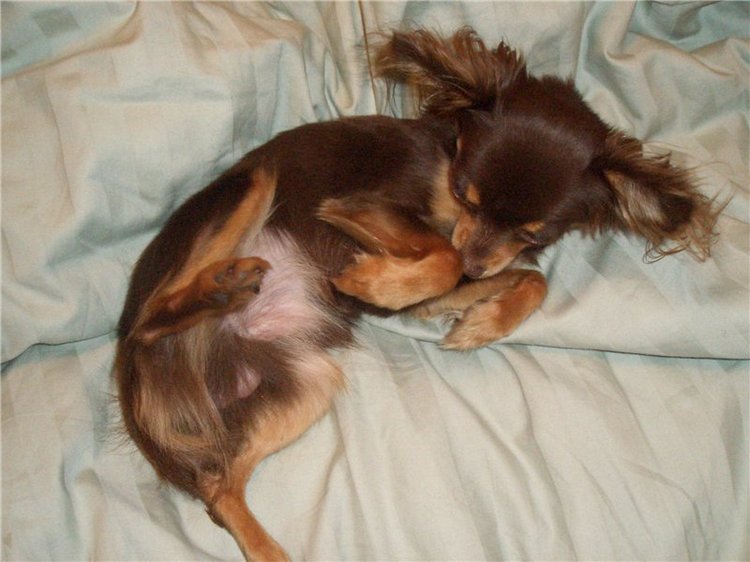 Учимся крепко спать — Болталка и разговоры обо всем: жизнь