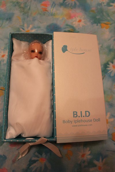 Моя первая БЖД Хлоя BID Iplehouse (фото 2)