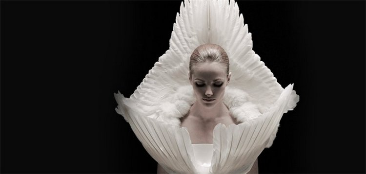 Перья. Скандальный дизайнер Джесс Итон (JessEaton) или искусство бывает разным (фото 6)