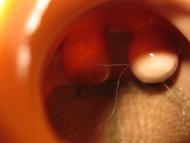 Gotz Muffin. Замена глаз кукле своими руками (фото 3)