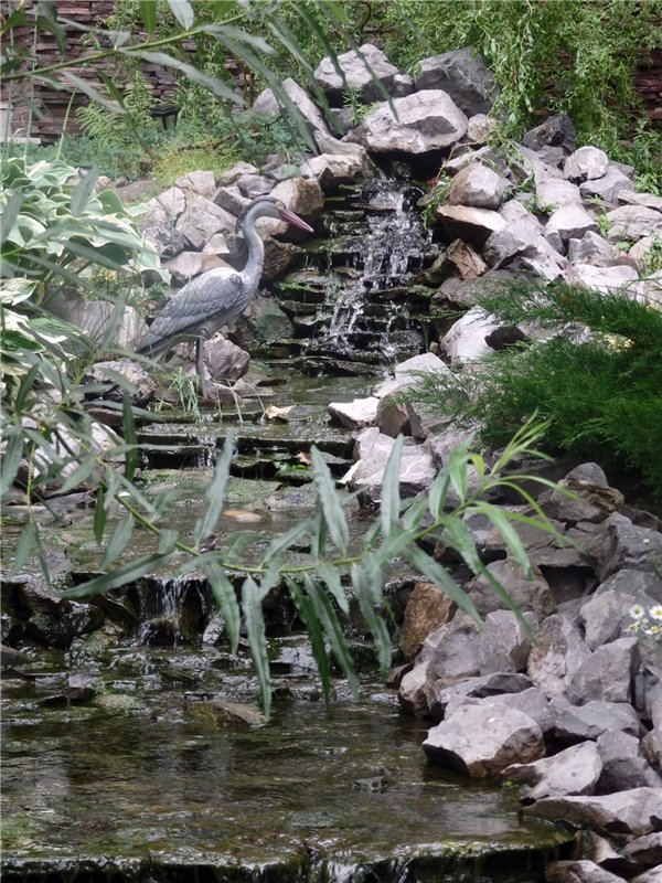 Лесная сказка или Варварка на Нугуше