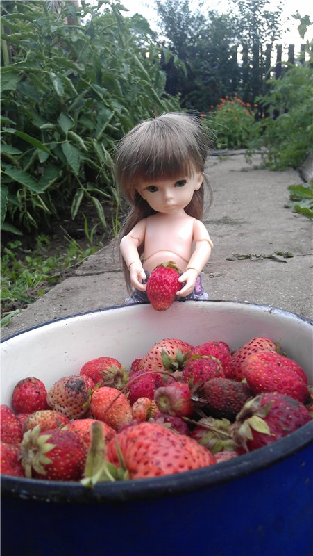 Немного лета в холода — Куклы Dollzone (Доллзон): BJD (БЖД)