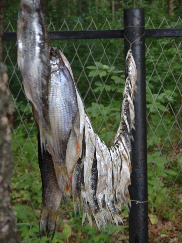 Башкирия , Охлебинино . Место , где отдыхает душа