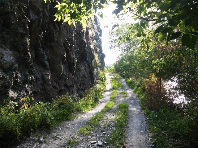 Однажды летним жарким днем.... Как Ева к конкурсу готовилась (фото 4)