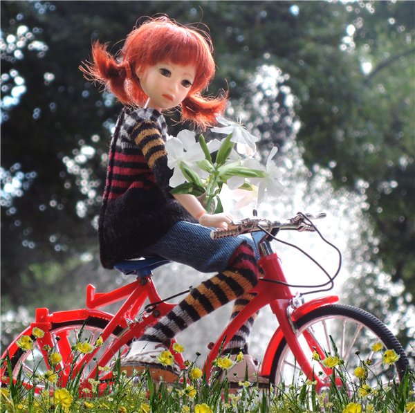 Велик, Мурзик и цветы — Куклы и тела Obitsu (Обитсу): 1/6 (фото 3)