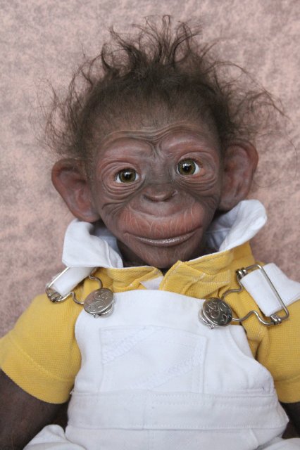 Гога, он же Гоша,он же Гора, он же Жора, здесь проживает? кукла реборн Элины Кудрявцевой