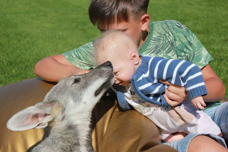 Наше участие в конкурсе Кукла и питомец | Бэйбики Наше участие в конкурсе Кукла и питомец (фото 4)