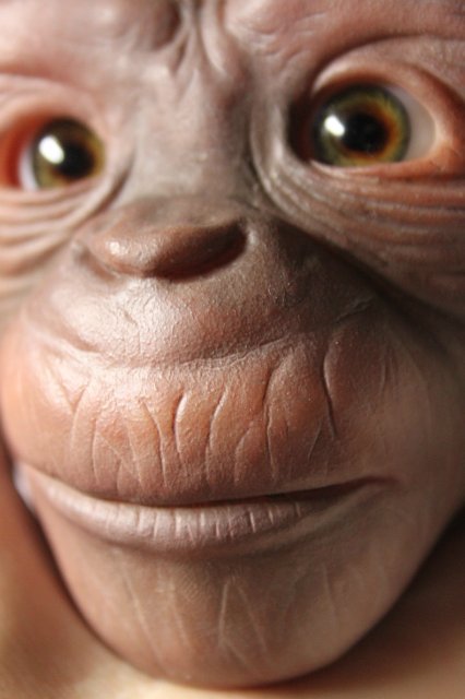 Гога, он же Гоша,он же Гора, он же Жора, здесь проживает? кукла реборн Элины Кудрявцевой