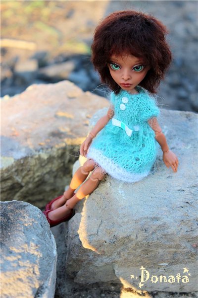 Амигатомания набирает обороты (фото 5)