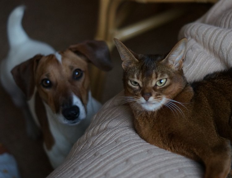 Моя малышка реборн София — Куклы Реборн (Reborn): работы мастеров