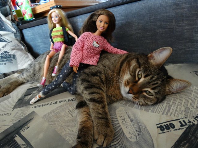 Дети, котики и куклы - наши главные радости (фото 2)