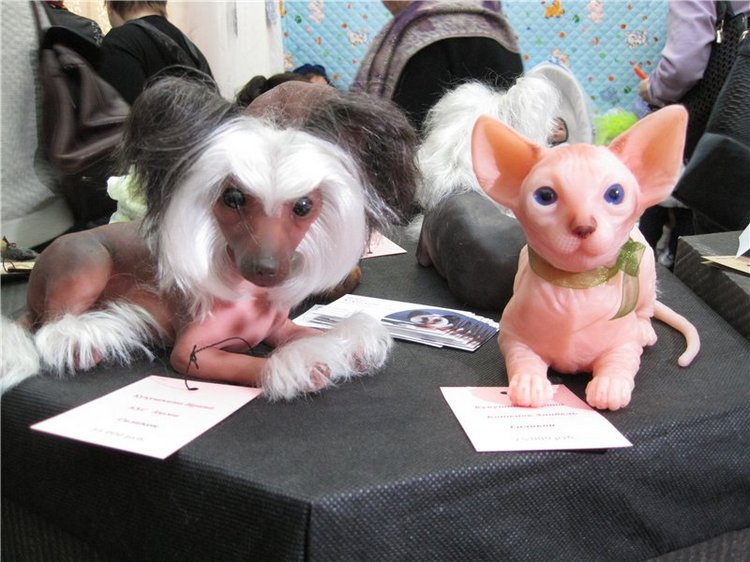 Спасибо за дружбу! Спасибо за праздник