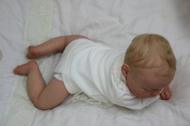 Ноашечка. Куколка реборн Виктории Вишни