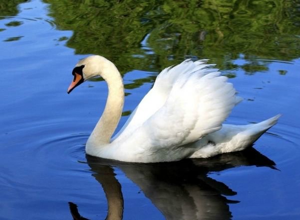 Праздник невыриков или Что вы делаете в выходные