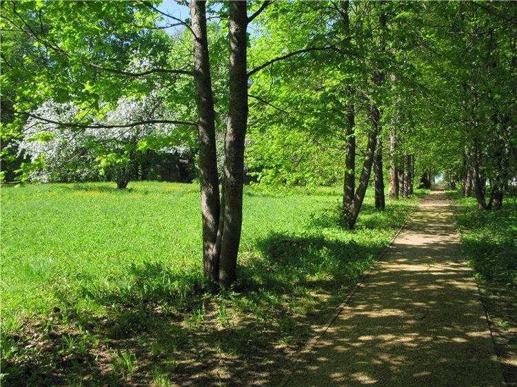 Субботний вояж. Заключительная часть (фото 2)