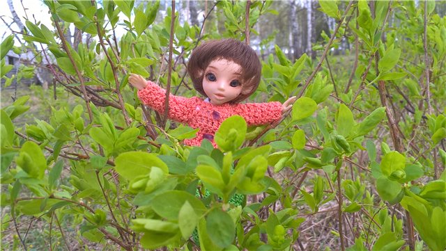 Весенняя работа лесных эльфов. Часть 2 (фото 7)