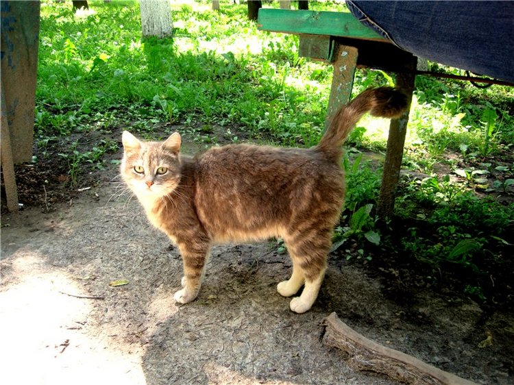 Воспоминания о детстве — Советские винтажные куклы (СССР): Ленигрушка