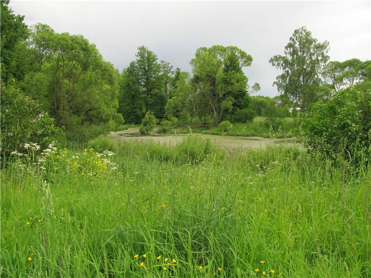 46-ой Пушкинский праздник поэзии в Берново. Часть вторая