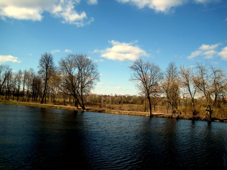 Прогулка в парке. Галочка - коллекционная куколка Дианы Эффнер