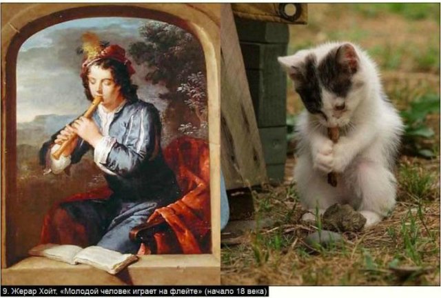 «Мяу» особого назначения или Весенняя кошкотерапия