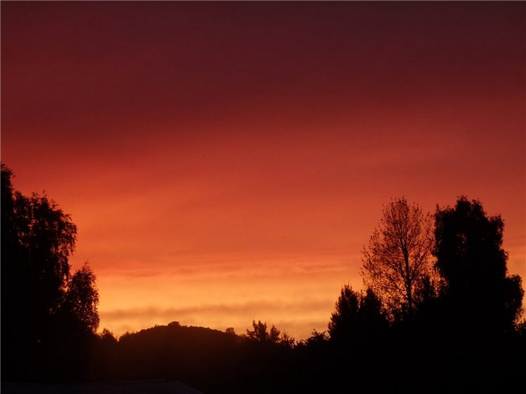Лесная сказка или Варварка на Нугуше (фото 6)