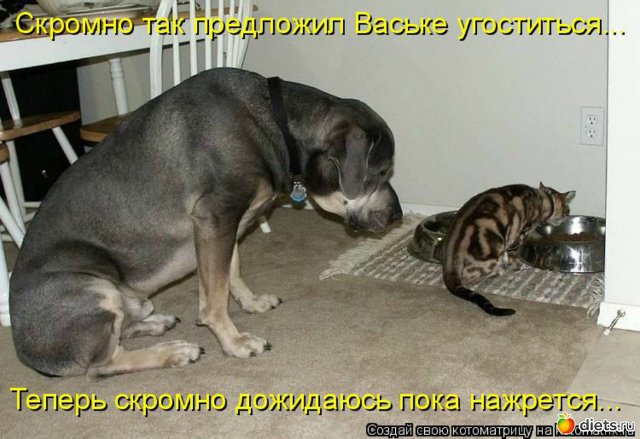 Понедельник - день тяжёлый | Бэйбики Понедельник - день тяжёлый