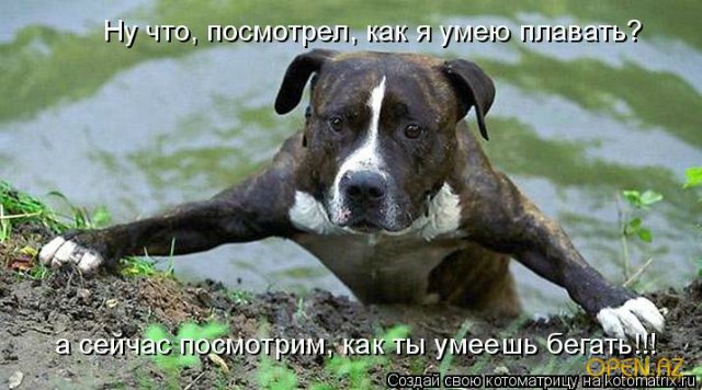 Понедельник - день тяжёлый | Бэйбики Понедельник - день тяжёлый