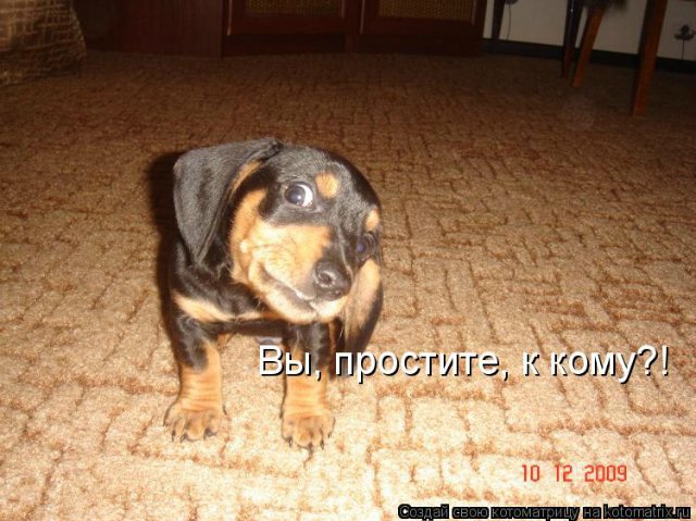 Понедельник - день тяжёлый | Бэйбики Понедельник - день тяжёлый (фото 2)