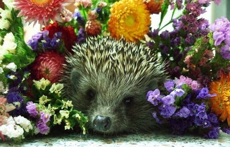 С Днем рождения, Катюшу 4Mama (фото 2)