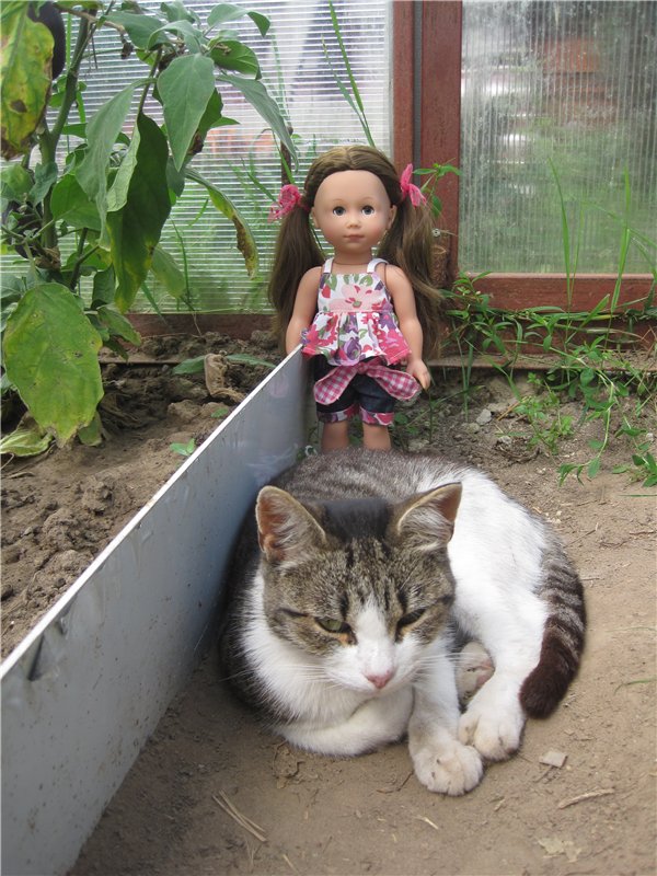 Сестрёнки. Куклы Готц Алиса и Оленька