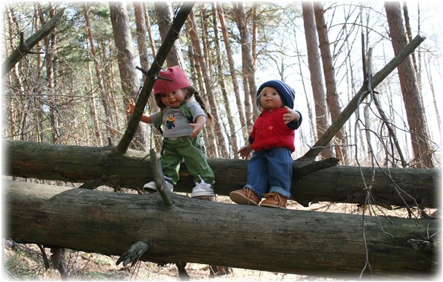 Небольшой поход Вихтелят на Ирдынские болота (фото 5)