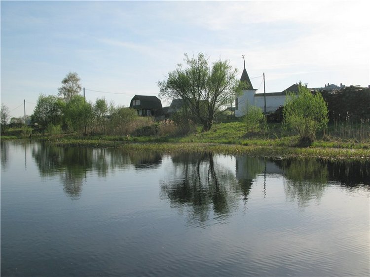 Прогулка с Райли. Riley от автора Helen Kish