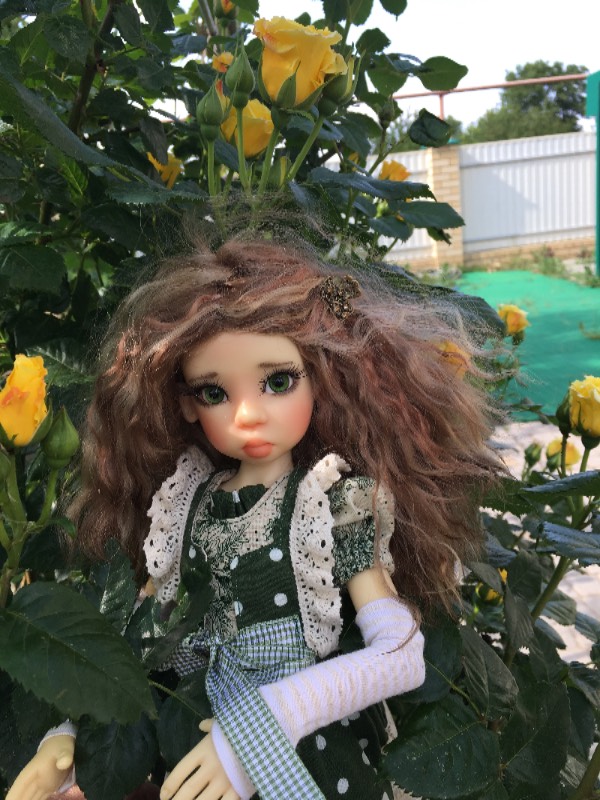 Мой цветочек, мой бриллиантик, моя звездочка... Нисса (фото 7)