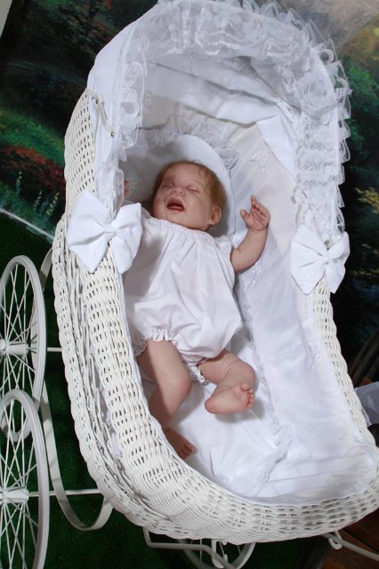 Мои куклы реборн в декорациях