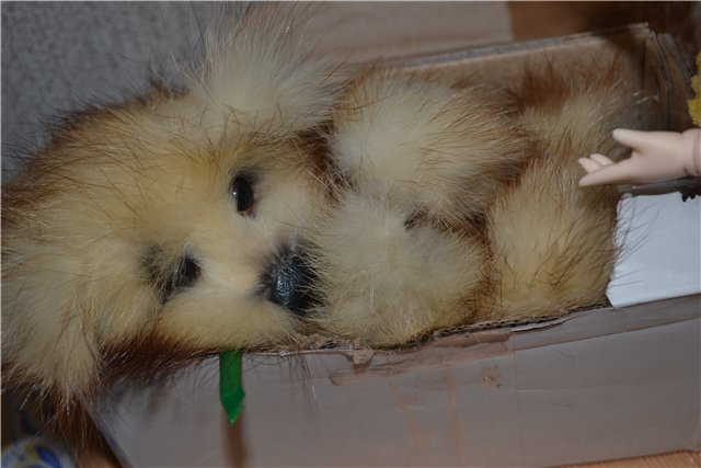 Ура!!! Лешенька приехал — Домашние фото авторских игрушек: Тедди (фото 7)