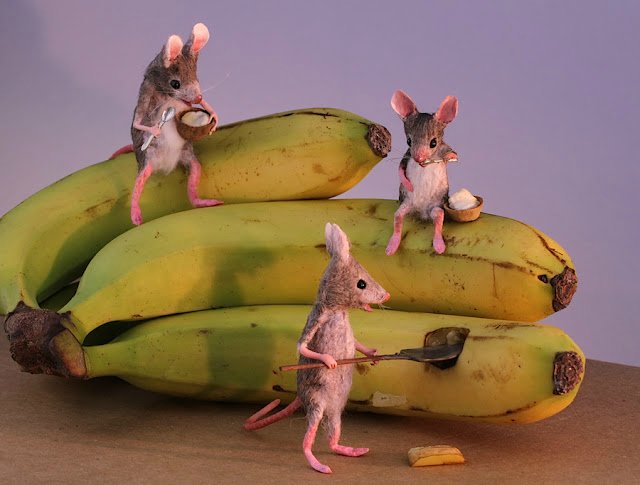 Мышиный дом или Жизнь замечательных мышей. Авторские игрушки в книжной иллюстрации. Мэгги Руди (Maggie Rudy) - "Mouses